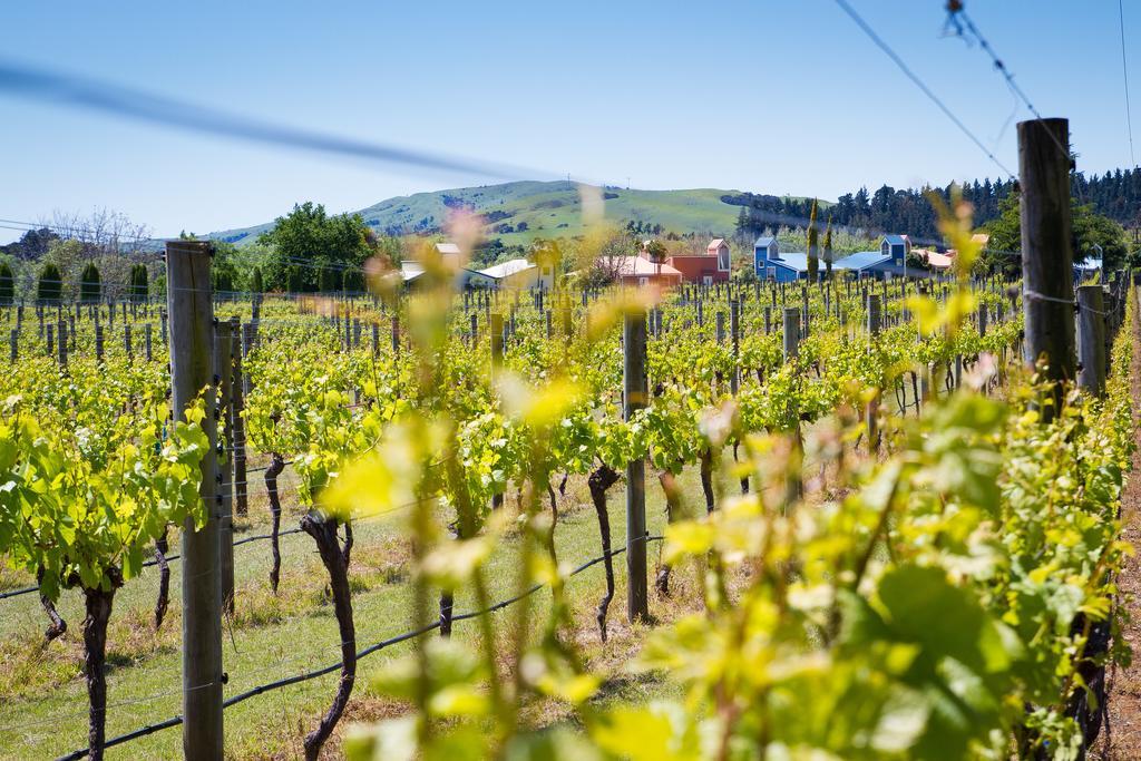 Margrain Vineyard Villas Мартинборо Экстерьер фото