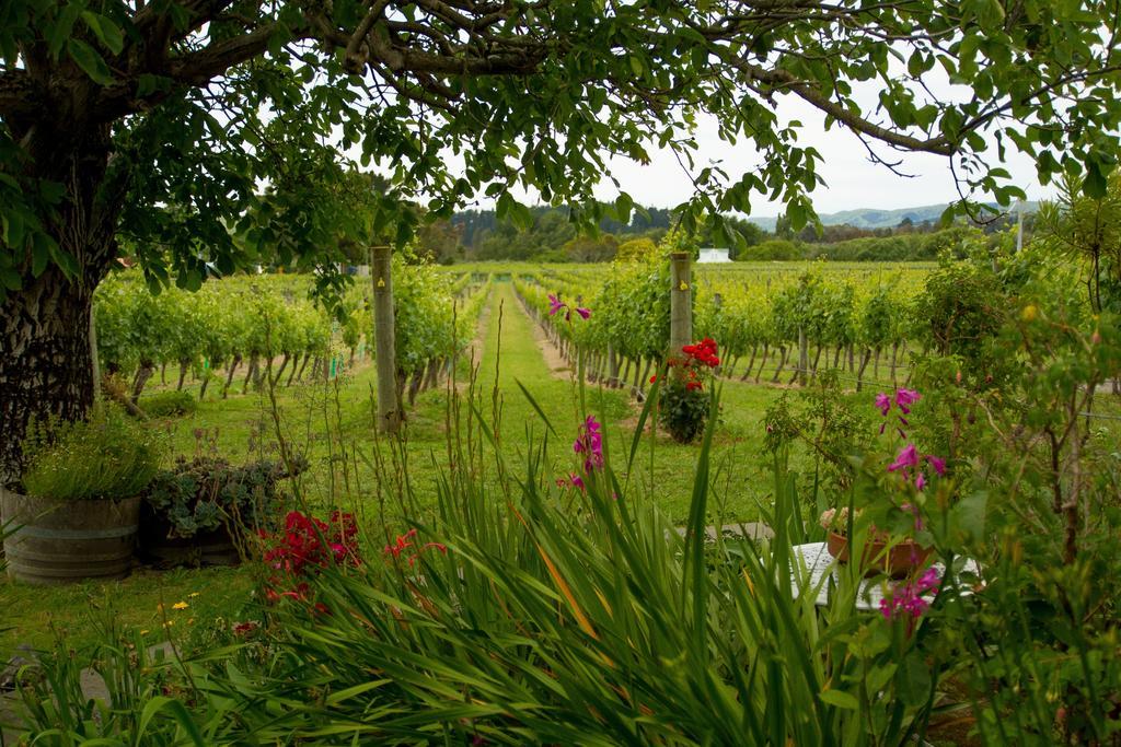 Margrain Vineyard Villas Мартинборо Экстерьер фото